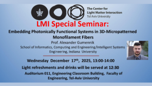 LMI Seminar - Prof. Alexander Gumennik