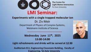 LMI Seminar - Dr. Ziv Meir