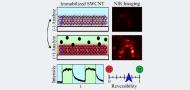 Quantifying Population Reversibility of Sensor Performance in Multi-Cycle Single-Sensor Recovery Assay