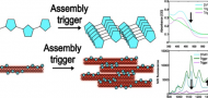 Single-Walled Carbon Nanotubes as Near-Infrared Fluorescent Multiplexed Optical Reporters for Trigger-Induced π-Conjugated Peptide Self-Assembly Single-Walled Carbon Nanotubes as Near-Infrared Fluorescent Multiplexed Optical Reporters for Trigger-Induced π-Conjugated Peptide Self-Assembly
