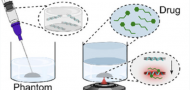 Minimally Invasive Delivery of Optical Nanosensors Using Injectable Hydrogels Minimally Invasive Delivery of Optical Nanosensors Using Injectable Hydrogels