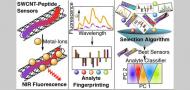 Metal-Ion Optical Fingerprinting Sensor Selection via an Analyte Classification and Feature Selection Algorithm