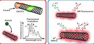 Near-Infrared Fluorescent Single-Walled Carbon Nanotubes for Biosensing