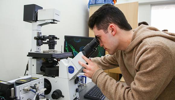 Yael Roichman Lab, School of Chemistry